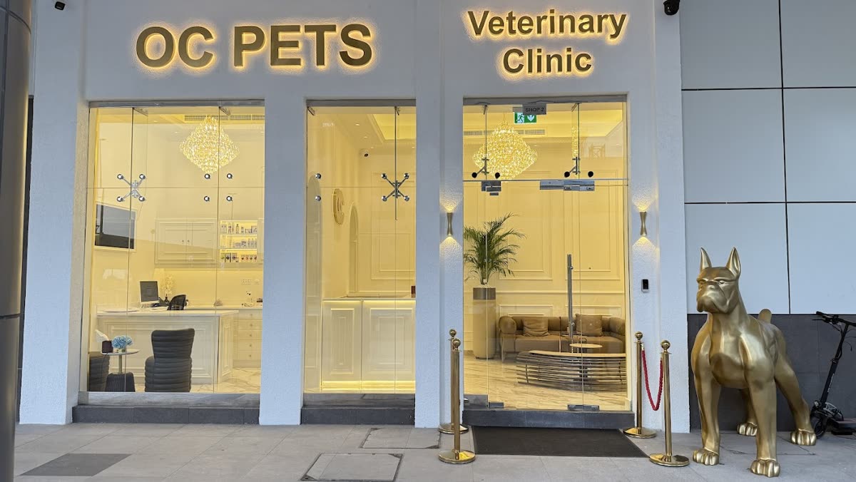 Business Bay Pet Clinic