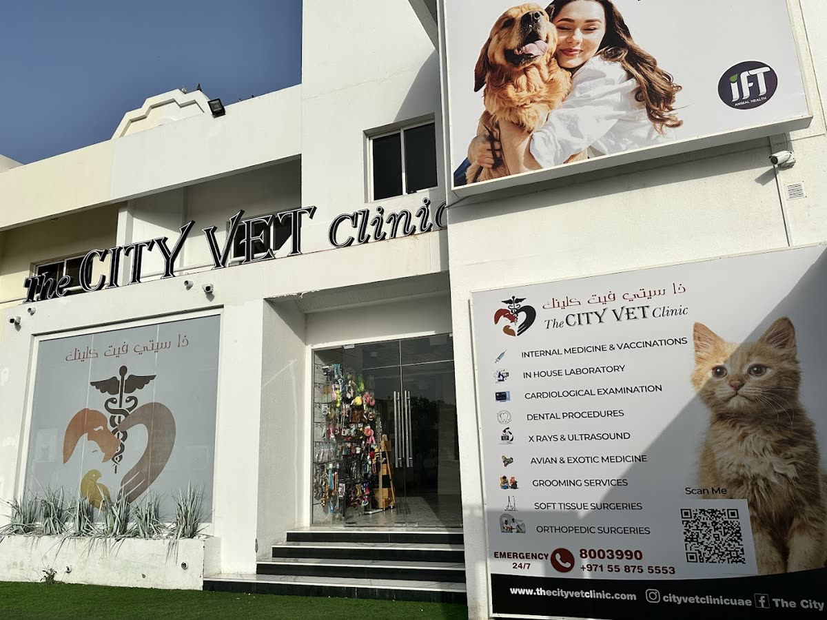 City Pet Clinic Karama