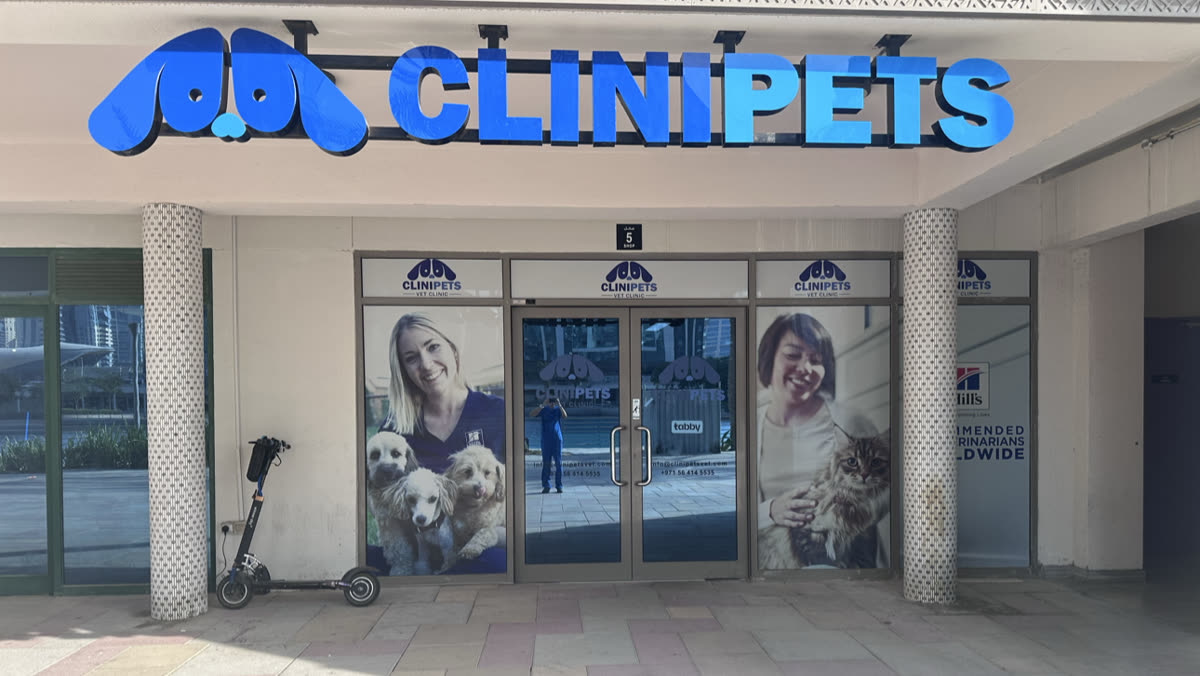 Clinipets Vet Clinic DMCC