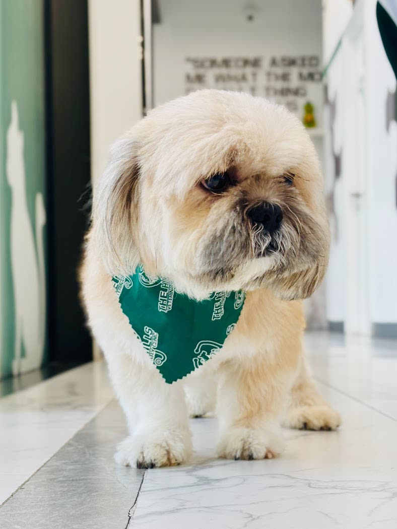 Damac Hills Veterinary Clinic