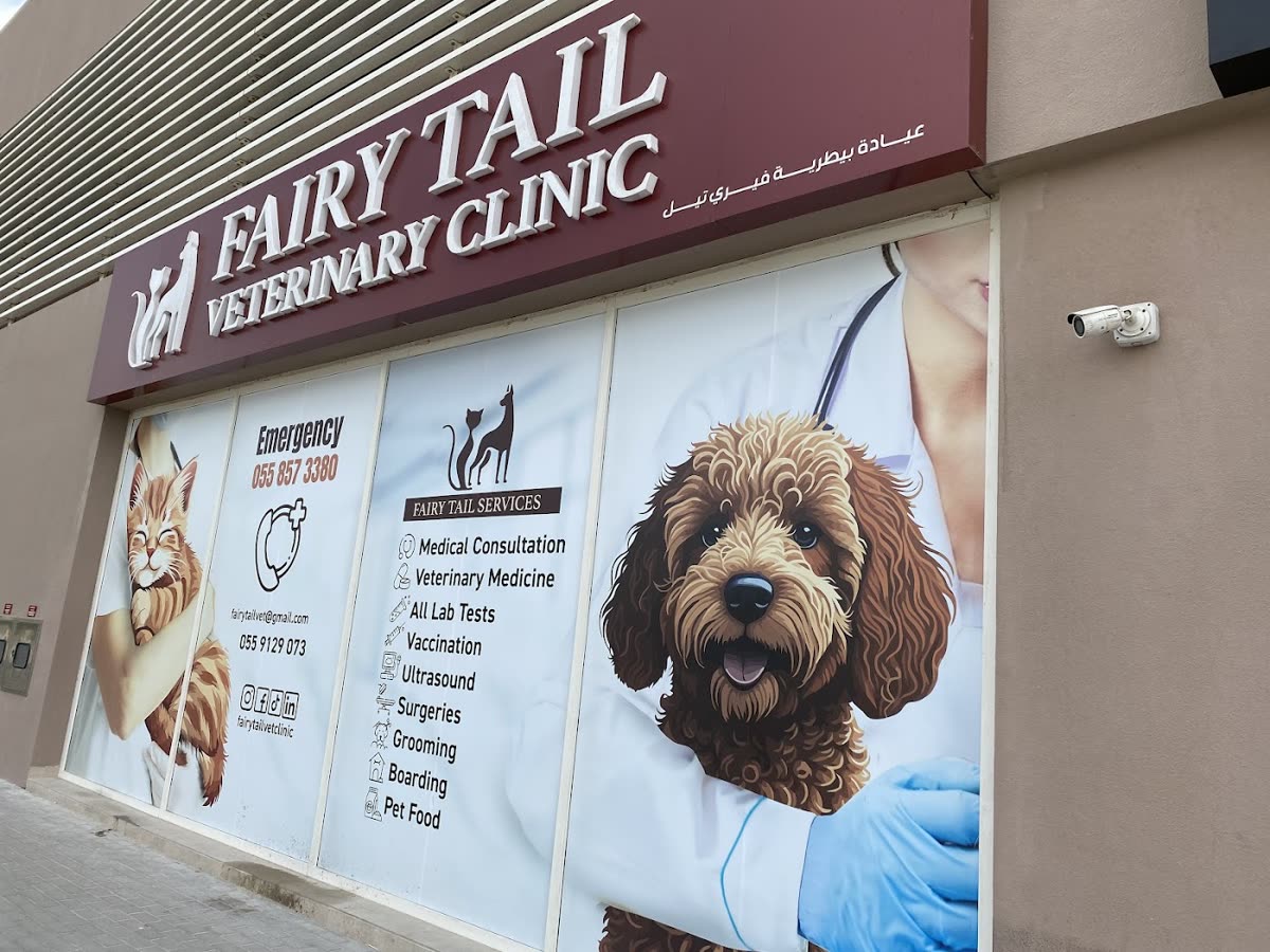 Fairy Tail Veterinary Clinic