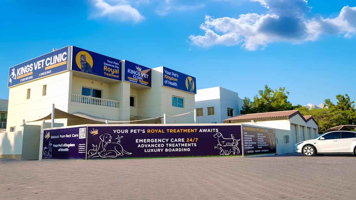Kings Vet Clinic Al Wasl Jumeirah