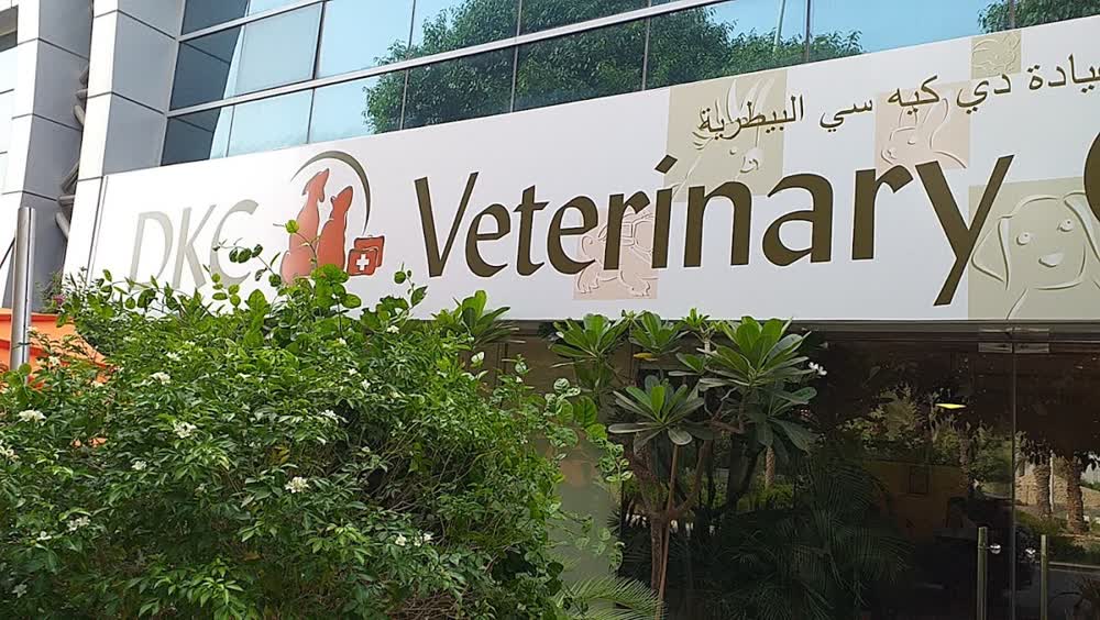 Park Veterinary Clinic