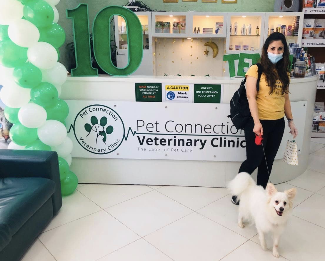 Pet Connection Veterinary Clinic Dubai Al Barsha 1