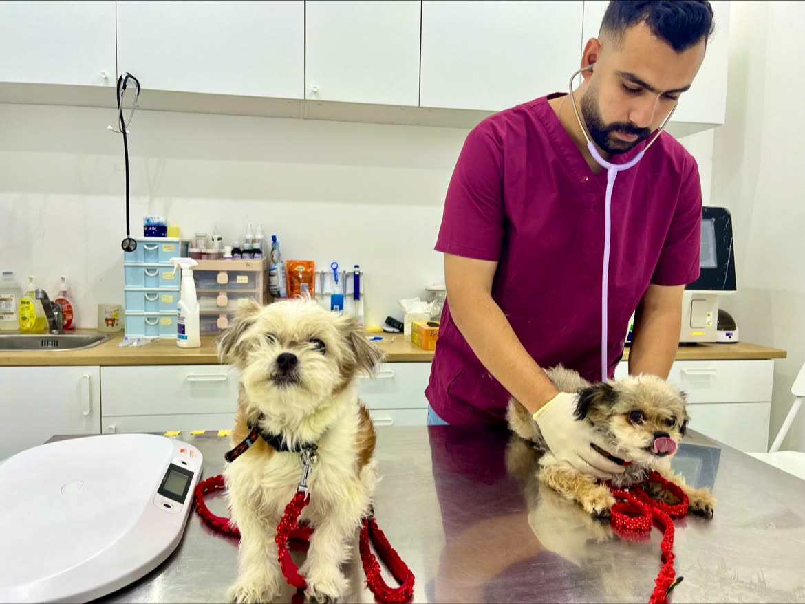 Petflix Vet Clinic