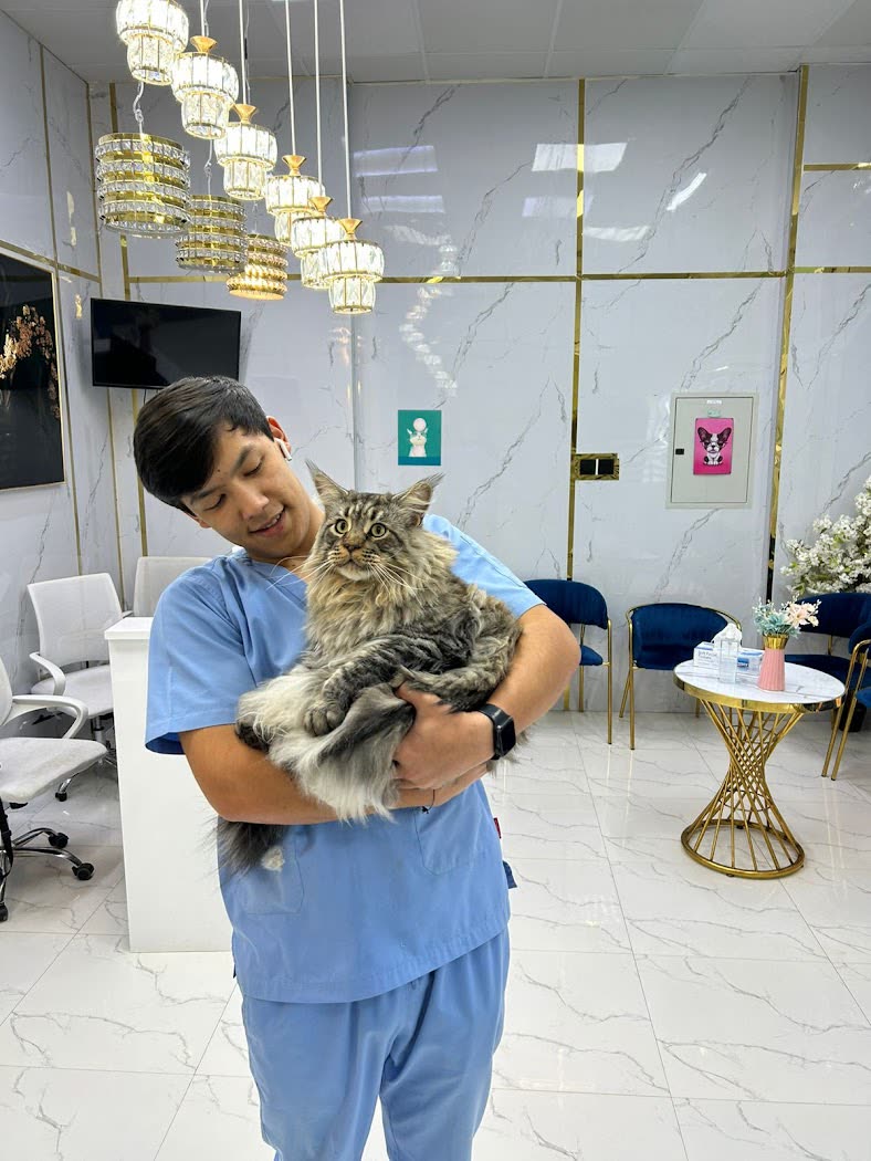 Springs Veterinary Center