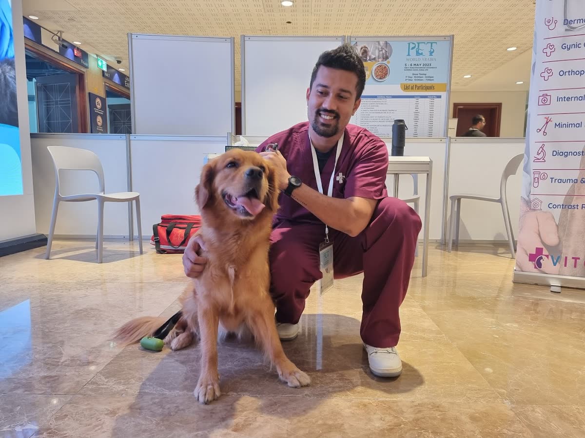 Studio City Vet Clinic