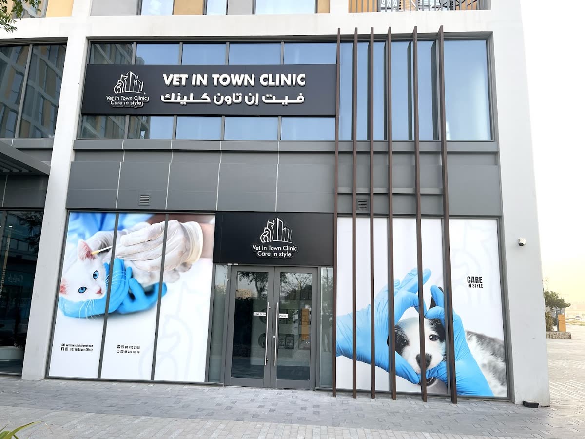 Vet in Town Veterinary Clinic